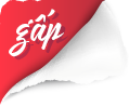 cần gấp ứng viên